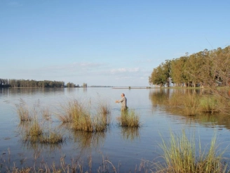 Searching the shallows Searching the shallows
