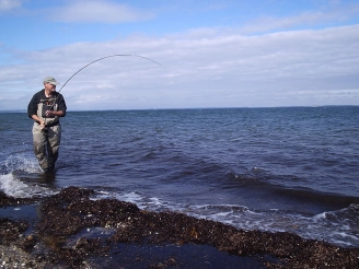 The perfect depth The perfect depth