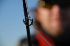 Detail and backdrop Detail and backdrop