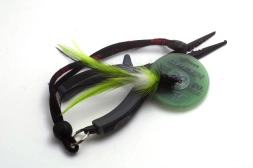 Studio shot Studio shot