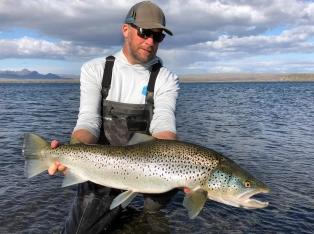 A plump fish A plump fish