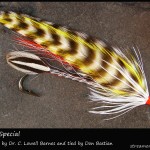 #162 Barnes Special - Don Bastian #162 Barnes Special - Don Bastian