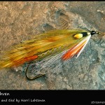 #297 Pikku Ahven - Harri Lehtonen #297 Pikku Ahven - Harri Lehtonen