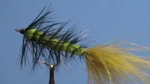 Video thumb for Extended Body Woolly Bugger