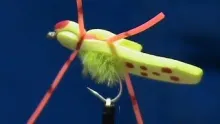 Video thumb for Schmotzer Spider