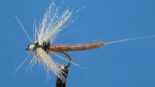 Video thumb for Extended Body Sulphur Spinner