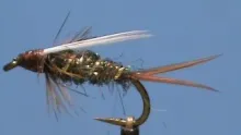 Video thumb for GSS Prince
