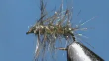 Video thumb for GSS Gnat