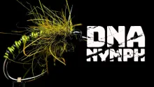 Video thumb for DNA nymph