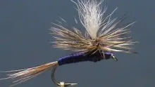 Video thumb for Purple Haze
