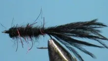 Video thumb for Vampire Leach