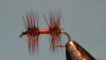 Video thumb for Clyde