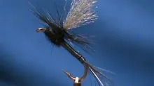 Video thumb for Black Quill