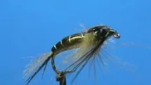 Video thumb for Dragonfly Nymph