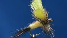 Video thumb for Mr. Rapidan