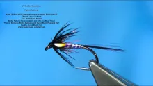 Video thumb for UV Quilled Black Cruncher
