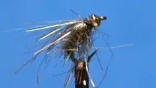 Video thumb for Beadhead GSS Emerger