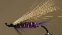 Video thumb for Purple Peril