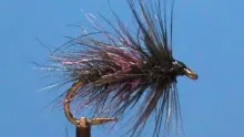 Video thumb for Deer Creek Bibio