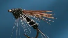 Video thumb for Doc Spratley