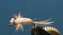 Video thumb for Sulpher Outrigger