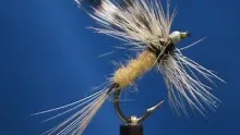 Video thumb for Golden Badger
