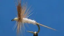 Video thumb for Pink Cahill