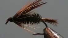Video thumb for Cockaroo