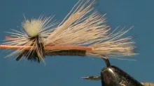 Video thumb for Olive PMX