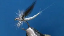 Video thumb for Extended Body Blue Dun