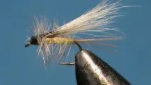 Video thumb for Killer Diller