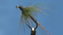 Video thumb for Olive Flymph