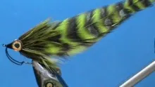 Video thumb for Baby Pickerel