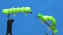 Video thumb for Inchworm