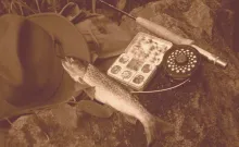 User submitted picture: Shooting with camera and ...