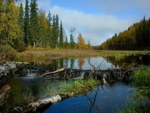 User submitted picture: A short paddle from my ca...