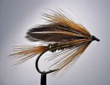 User submitted picture: The Maja 1

Old Danish ...