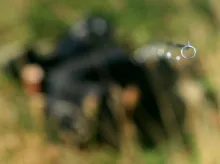 User submitted picture: ... a little bit of art f...