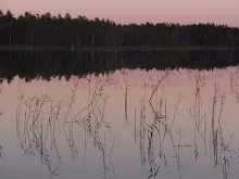 User submitted picture: Summer evening at Steensjön