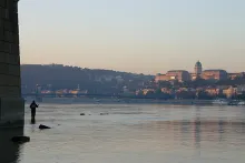 User submitted picture: Fly fishing Budapest
