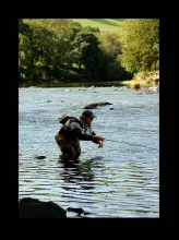 User submitted picture: Streamer fishing