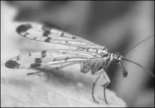 User submitted picture: ***