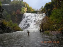 User submitted picture: Salmon Fishing at Ithaca ...