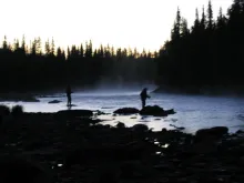 User submitted picture: During the night Part 3: ...