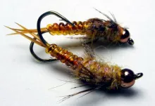 User submitted picture: Golden stones