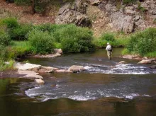 User submitted picture: Trout hunting on Colorado...