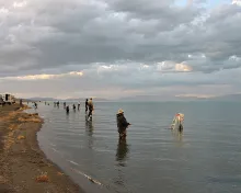 User submitted picture: Member of San Jose flycas...