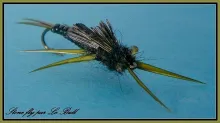 User submitted picture: stonefly
