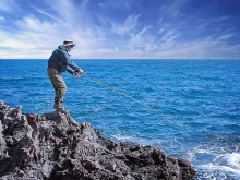 User submitted picture: The beautiful blue