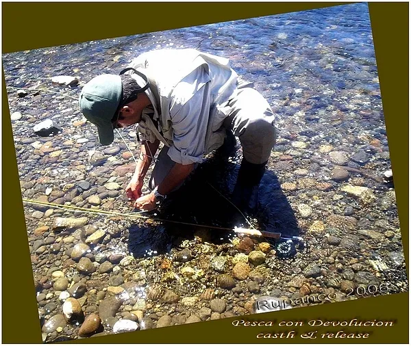 User submitted picture: Pesca con devolucion.... ...